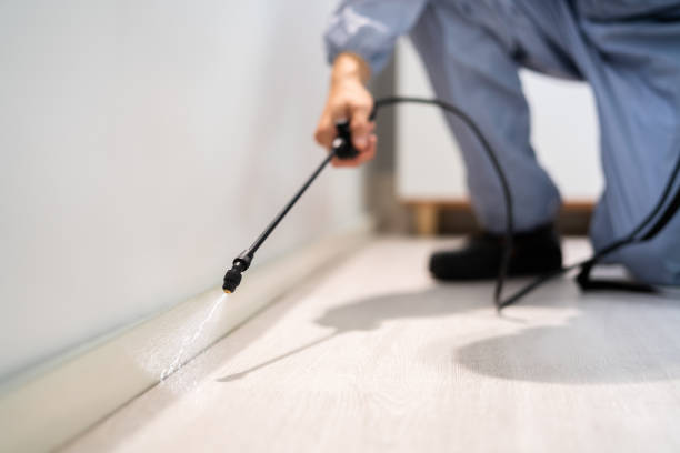 Professional exterminator conducting IPM assessment in Shreveport